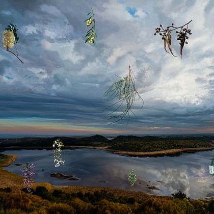 landscape with flowers and pieces of branches overlaying it