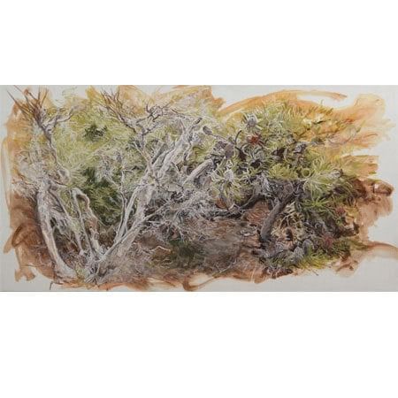 painting of heath plants