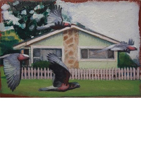 two birds fly past house 