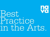 Best Practice in the Arts<br>by National Association for the Visual Arts Ltd (NAVA)