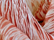 Natural Dyeing Workshop: Shibori using Eucalyptus with Susan Fell Mclean