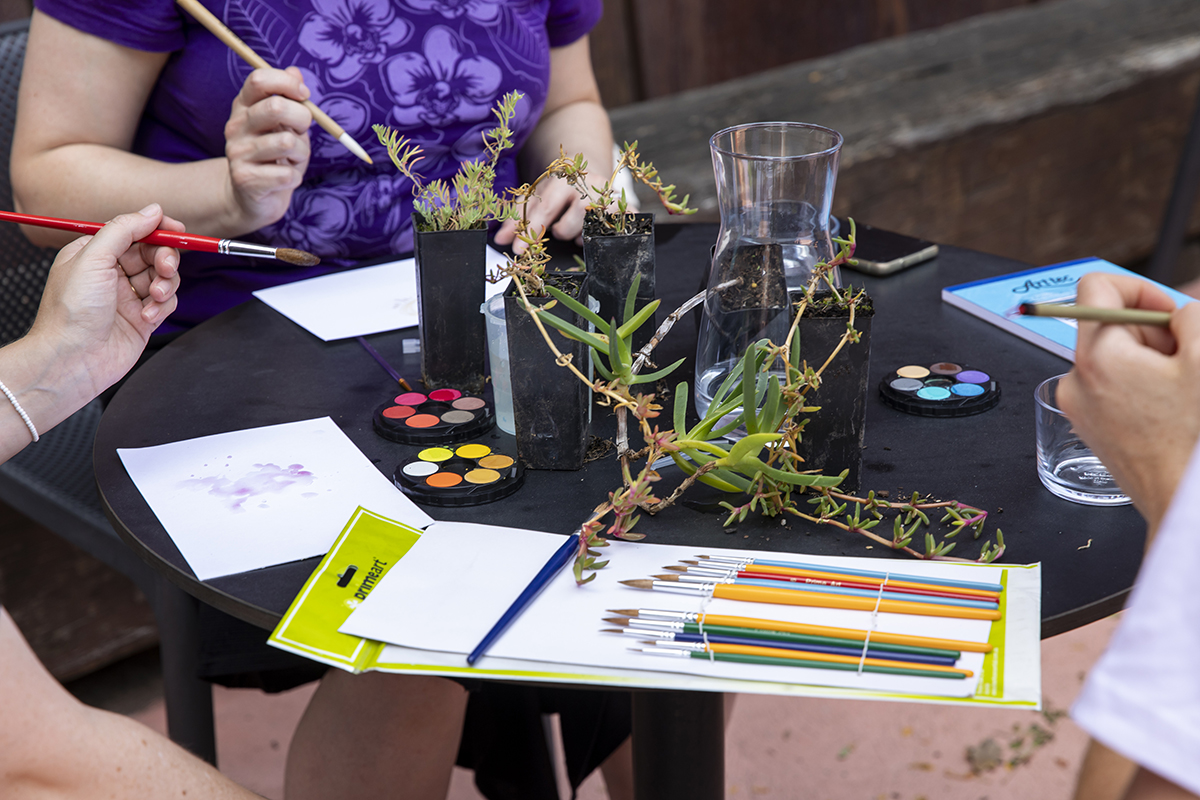 Watercolour art workshop on plant ecology, by Clare Milledge