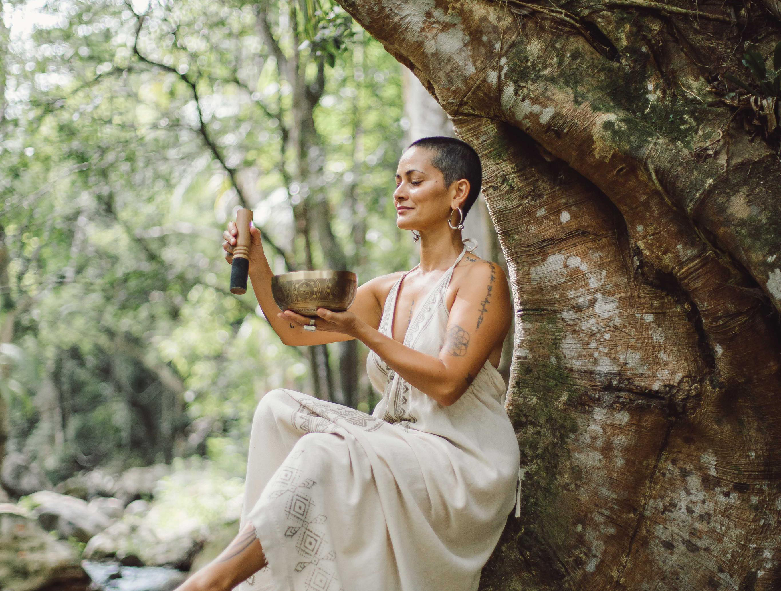 A woman of colour sitting on the root of a huge fig tree, holding a singing bowl instrument.There is a rainforest creek in the background. 