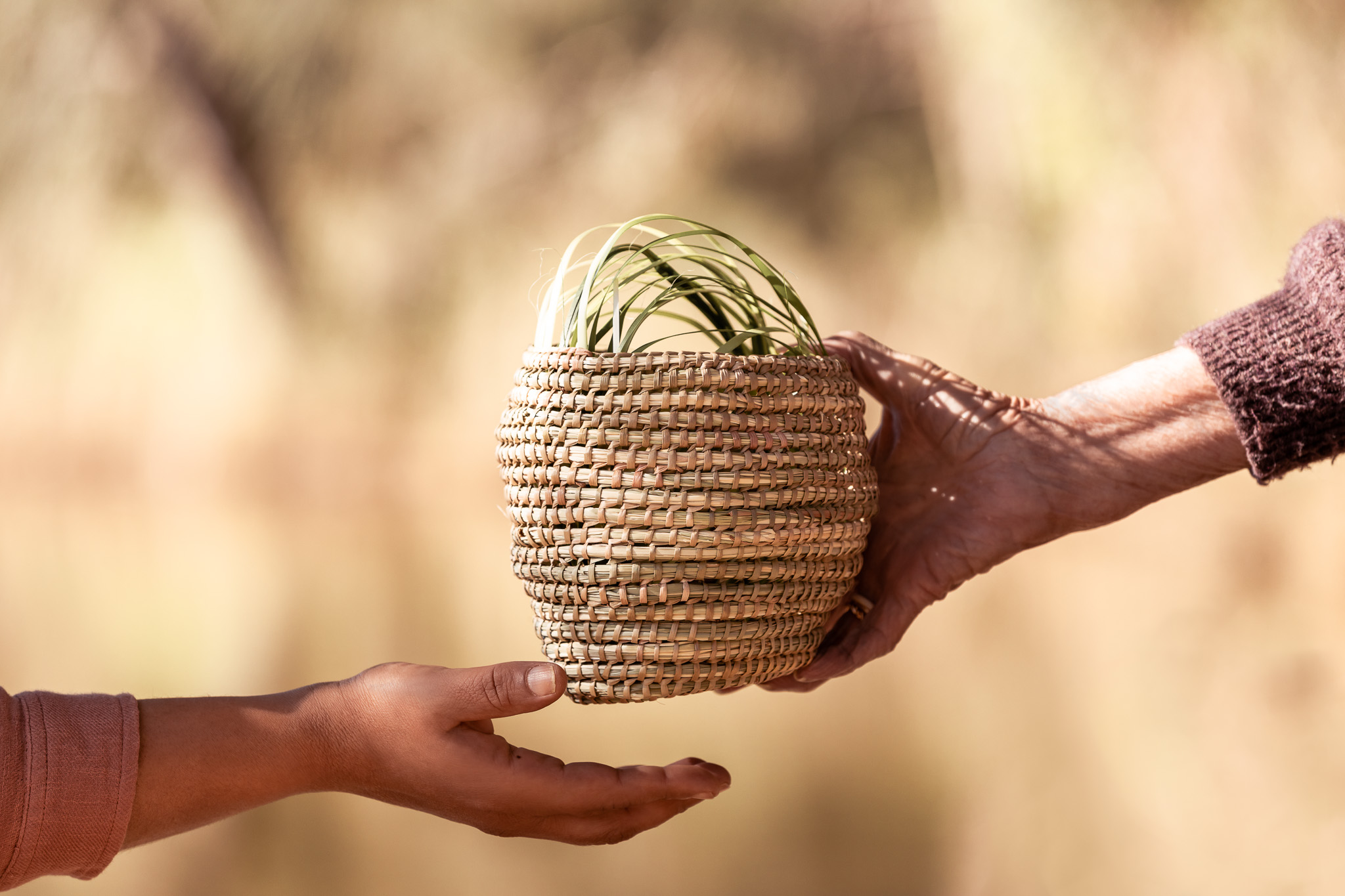 Two hands passing a woven basket to each other