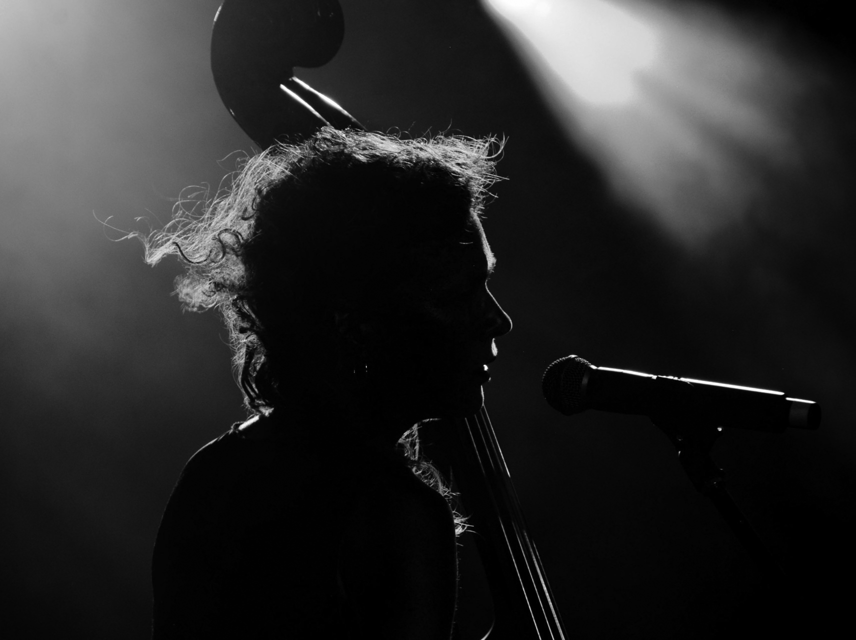 A black and white silouette of a woman playing double bass