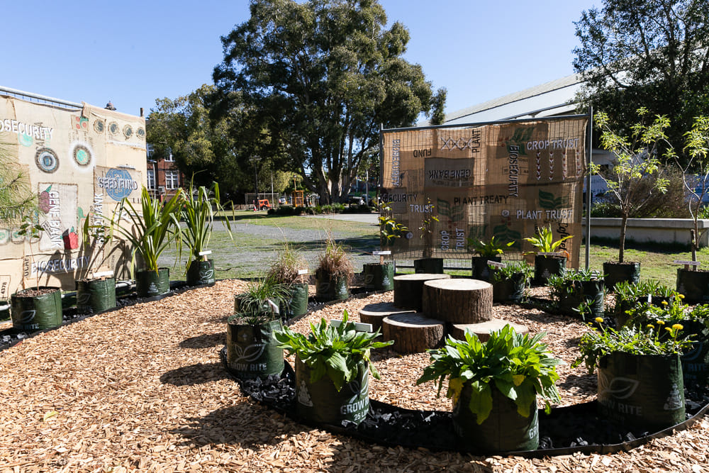 Potted plants with screens decorated with artwork