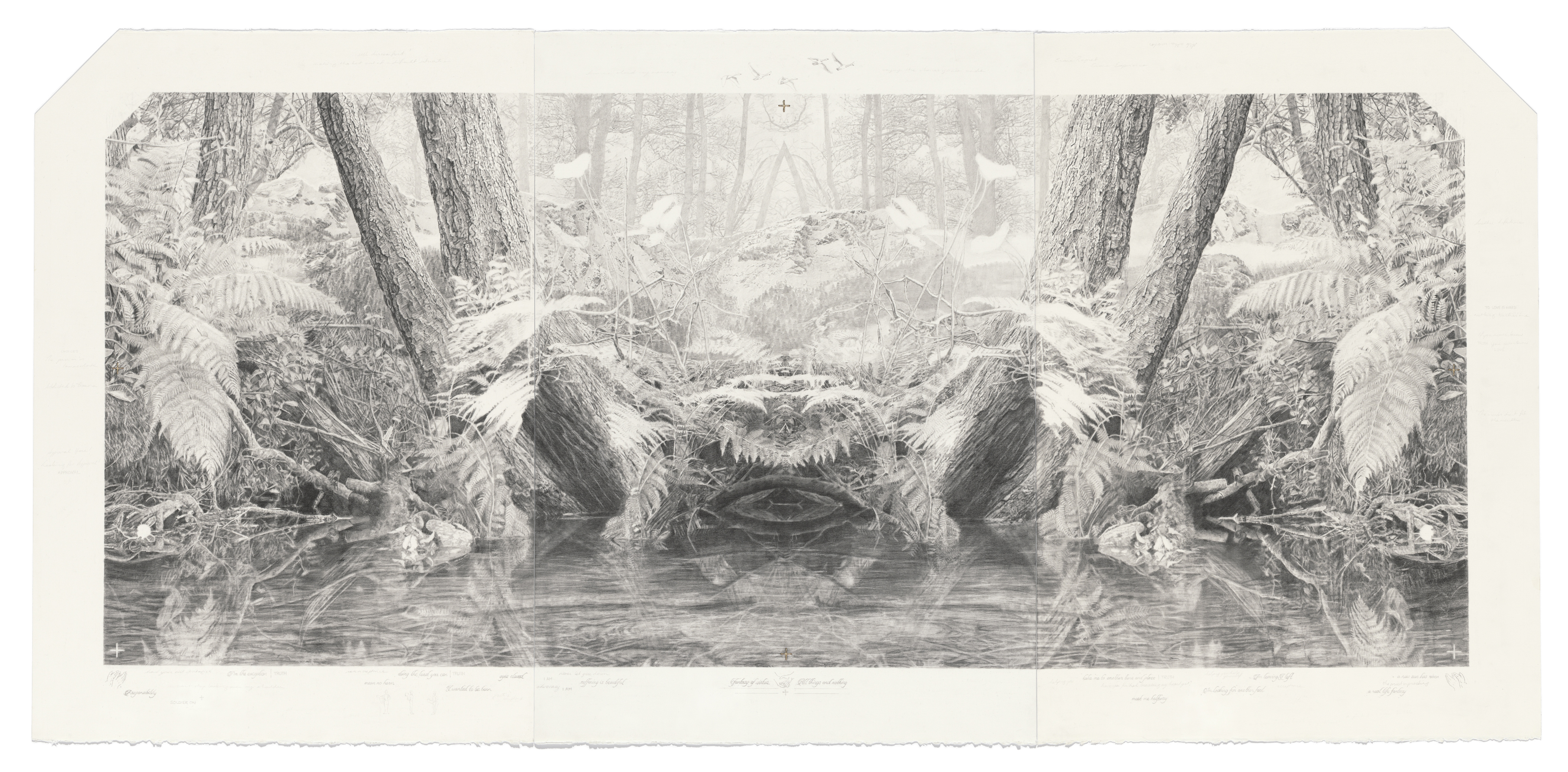 pencil drawing of forest