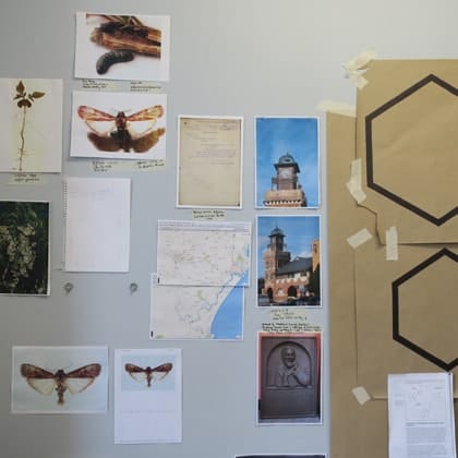 collection of images of clock tower, butterflies and maps taped to wall