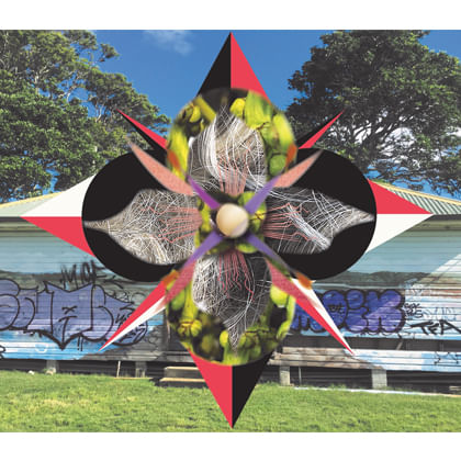 collage of vegetables