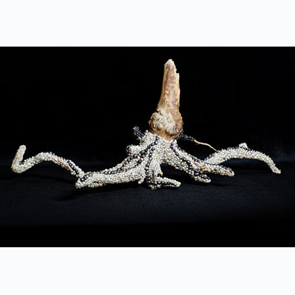 sculpture of sea creature