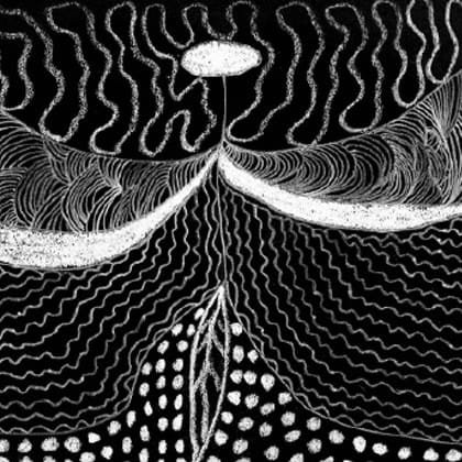black and white image of flying insect with intricate patters 