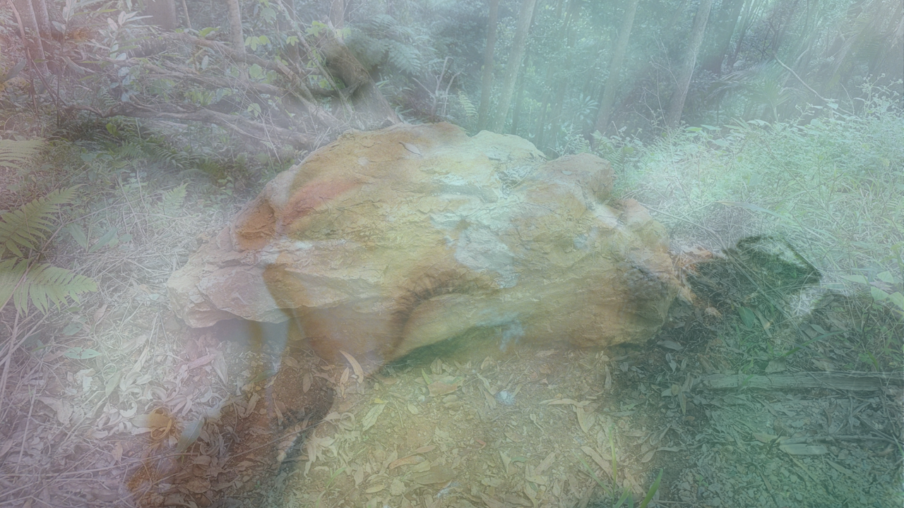 An double exposed image of a natural bush landscape with a close up of a man's head resting with his eyes closed