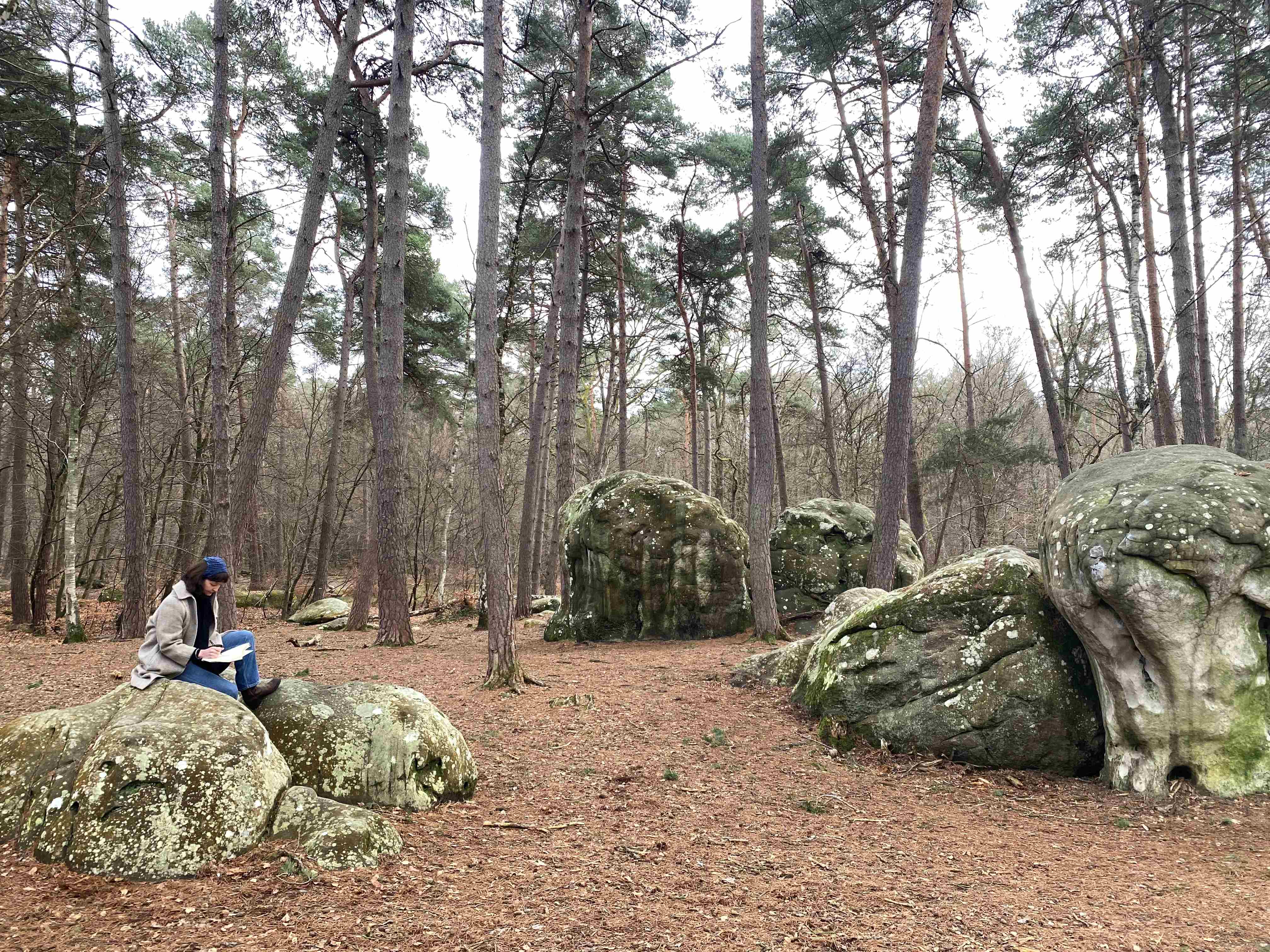 Making studies in the Forest of Fontainebleau, 2026, photograph courtesy of the artist