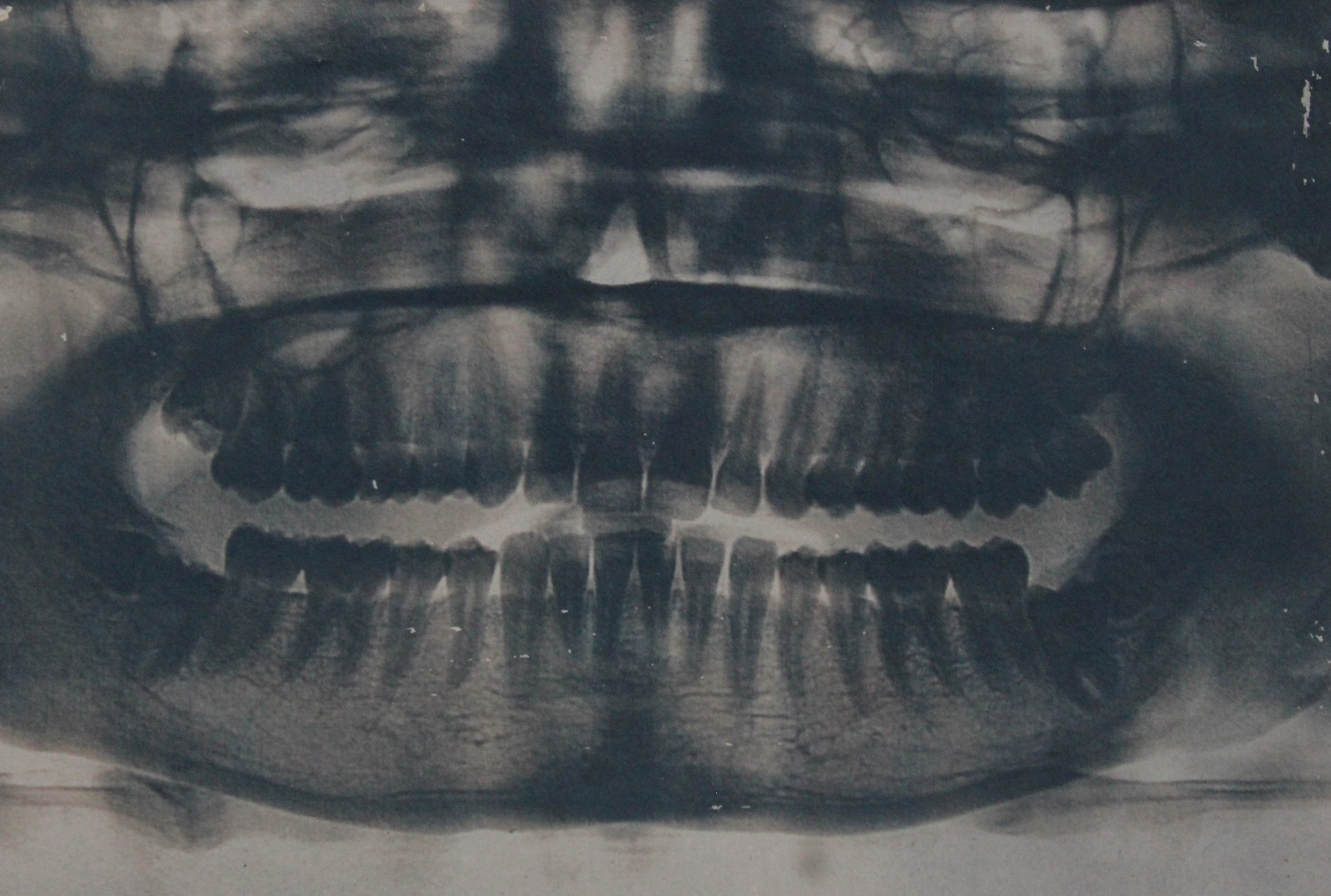 Helana Goodman Inchoate 2026, cyanotype print on khadi handmade paper. Courtesy the artist. Photo: Braedon Holland.