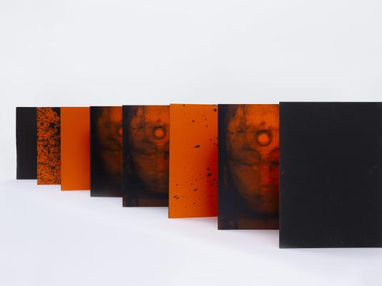 Accordion artist book