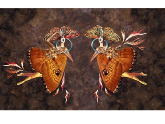 Two women dressed in butterfly constumes