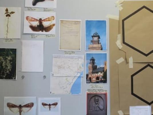 collection of images of clock tower, butterflies and maps taped to wall