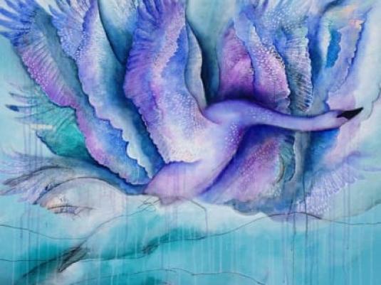 colourful birds flying