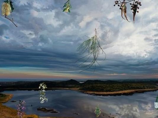 landscape with flowers and pieces of branches overlaying it