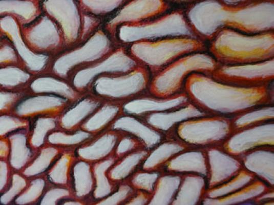 painted representation of covid cells