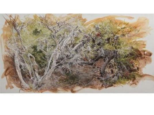 painting of heath plants