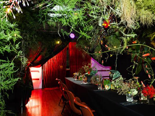 dinner table surrounded by plants