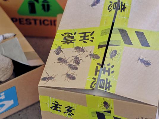 A documentation image from an exhibition, picturing painted cardboard boxes