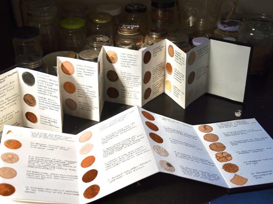 open catalogues