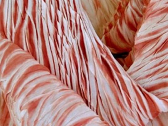 image of a piece of silk dyed with native plant dyes